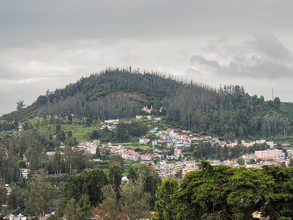 Ooty Hills